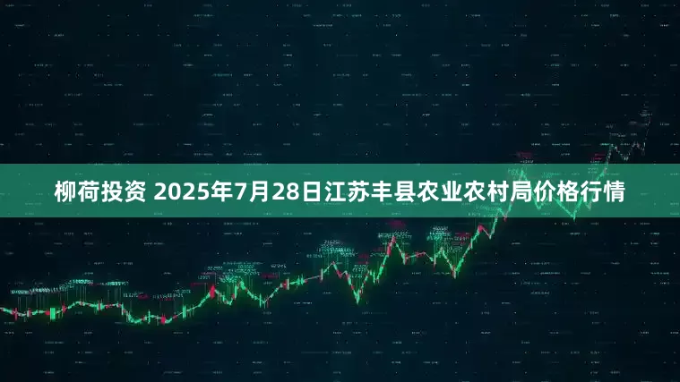 柳荷投资 2025年7月28日江苏丰县农业农村局价格行情