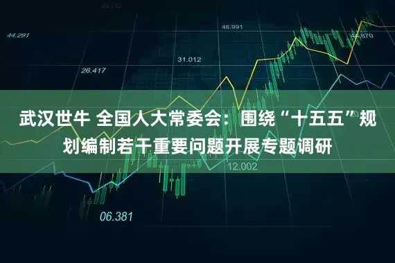 武汉世牛 全国人大常委会：围绕“十五五”规划编制若干重要问题开展专题调研