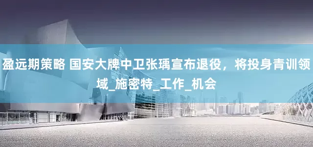 盈远期策略 国安大牌中卫张瑀宣布退役，将投身青训领域_施密特_工作_机会