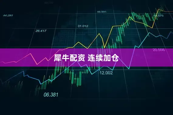 犀牛配资 连续加仓
