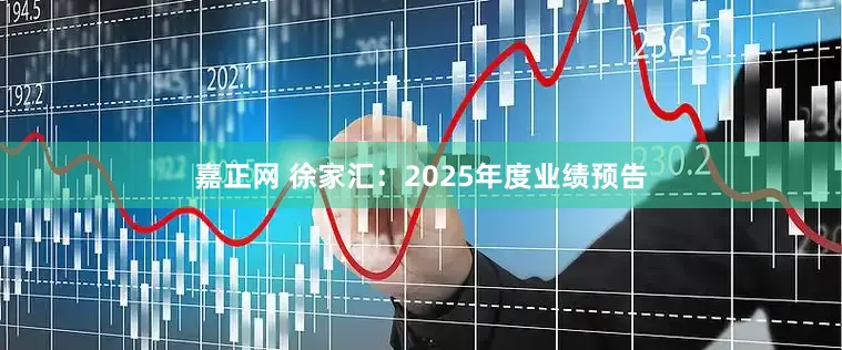 嘉正网 徐家汇：2025年度业绩预告